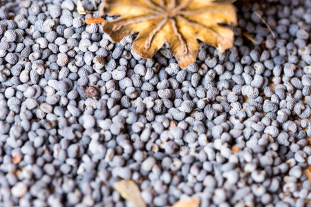 Macro photography of poppy heads and poppy seeds on textile rustic background. Many of poppy seeds.の写真素材