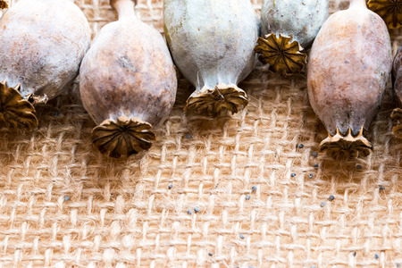 Macro photography of poppy heads and poppy seeds on textile rustic background.の写真素材