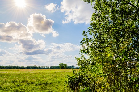 Beautiful scenery. Blue sky with clouds and sun and sunbeams around. Green field framed with trees.の写真素材