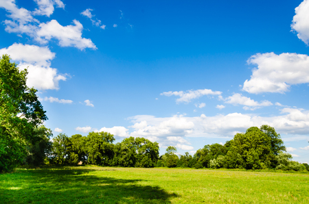 Awesome landscape with green meadow and summer blue sky. Nice green trees and grass around. Clouds on sky. Nice vibrant colors.の写真素材