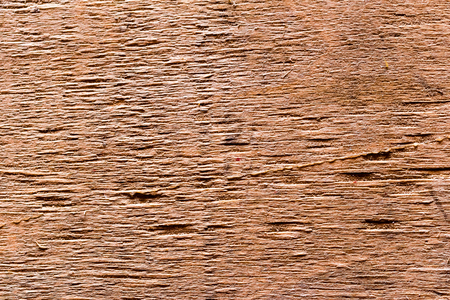 Wood texture background. Brown natural surface.の写真素材