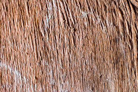 Wood texture background. Brown natural surface, hardwood.の写真素材