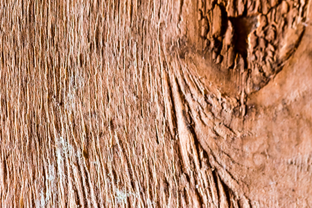 Wood texture background. Brown natural surface, hardwood.の写真素材