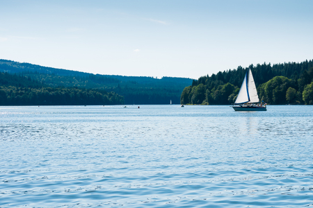 Small yacht sailing on Lipno lake. Forest on background, reflection on water and clouds on a sky.  Bright summer sunny day.のeditorial素材