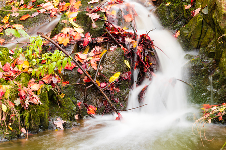 Small beautiful waterfall on a tiny creek. Autumn vibrant colors. Leaves in the water, long exposure photography, dreamy blurred water.の写真素材