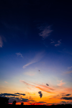 A beautiful colorful sunset. A dark blue sky, a dark red skyline with the sun behind the clouds. Silhouettes of trees on the horizon.の写真素材