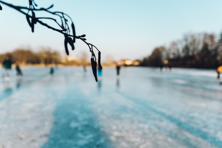 People skating on a frozen pond, out of the depth of field. Foreground is a dry branch, background is blurred. People are anonymous, indistinguishable.の写真素材