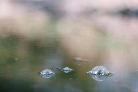 Bubbles on the water surface. Beautiful blurred background, selective focus, abstract concept,...