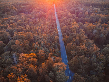 Aerial view down to the forest and trees. The trees are in autumn colors, golden hour, almost dark, little light. The sun and a small town can be seen on the horizon.の写真素材