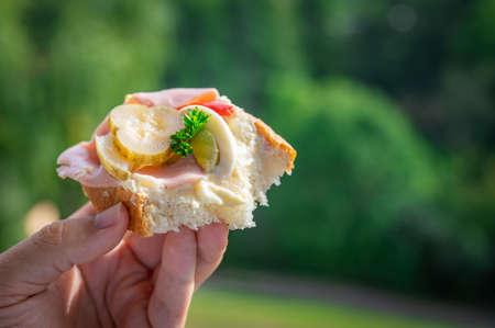 A hand holding a open sandwich that is half eaten. A green forest can be seen in the background.の写真素材