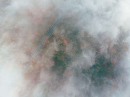 Aerial top-down view through clouds on autumn forest and road.の写真素材
