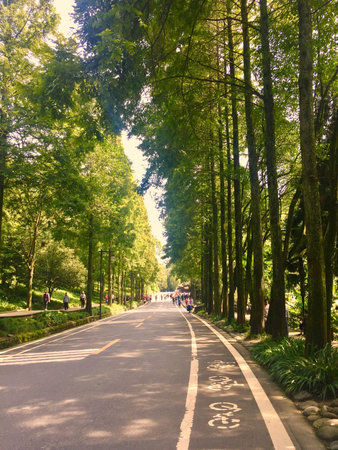 Gallery after rainの写真素材