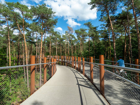 Pedestrian and bicycle  bridge in the forest on a sunny summer dayの写真素材