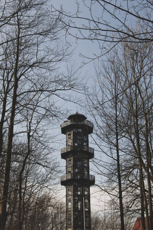 Forest with Konig-Friedrich-August-Turm (King Fridrich Augusts Tower). Shot is vertical and leads viewer to the tower.の写真素材