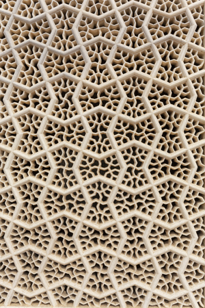Perforated wall in the building of the palace in the Amber Fort, Jaipur, Indiaのeditorial素材