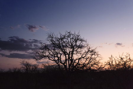 Sunset over the okavango delta in Botswanaの写真素材