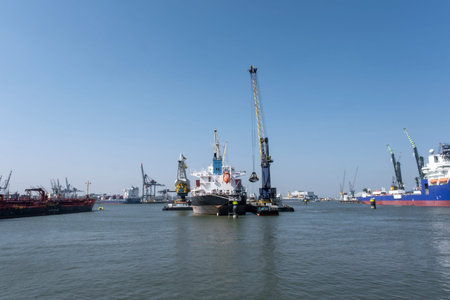 Huge cranes and ships anchored at harbor. International commercial port, city of Rotterdam...
