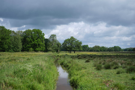 Landscape of nature park Drents Friese Wold n near Appelscha in Denthe The Netherlandsの写真素材