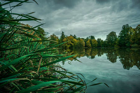 Cloudy sky above pond. Long exposure.の写真素材