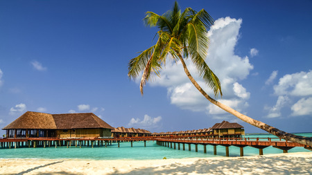 view of the coast of irufushi island with water bungalows, maldivesのeditorial素材