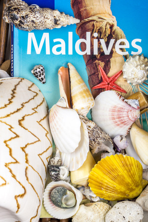 Holiday in Maldivesの写真素材