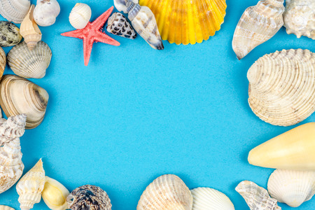abstract background made of shells blue backgroundの写真素材