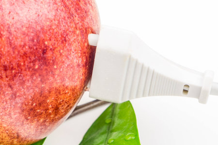 white plug is connected to the red apple on white background, concept of green and clean power made of biomassの写真素材