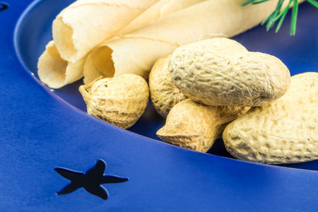 peanuts in shell and christmas decoration on blue background