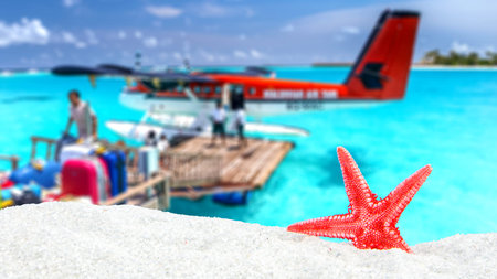 tropical theme with maldives airplanes blurred background, star shell in the front on sandy beachの写真素材