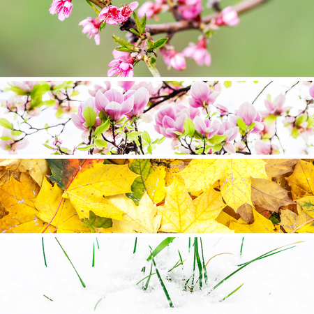 collage made of thin strips of typical four season nature, horizontalの写真素材