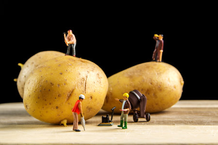 Miniature figurines working hard together in order to make potato best possibleの写真素材