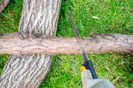 a man working with hand saw while sawing a chump of wood