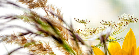 dried meadow flowers and petals in one multicolor bunch mixture