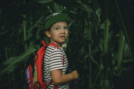 young boys lost in spooky summer corn maze run, chasing and playing in labyrinth adventure with moody atmosphereの写真素材