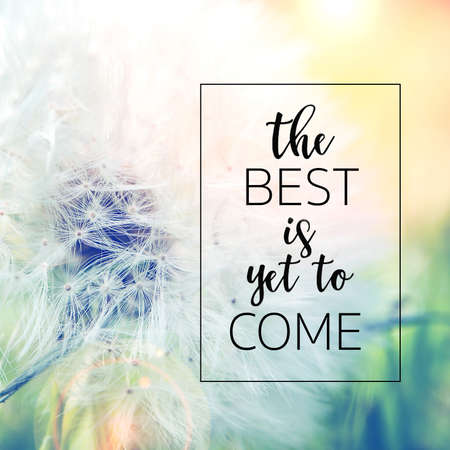 the best is yet to come quote with closeup view of dandelion on moody green and yellow backgroundの写真素材