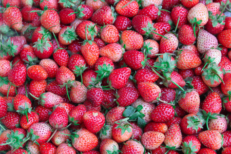 Fresh ripe perfect strawberry - Food Frame Backgroundの写真素材
