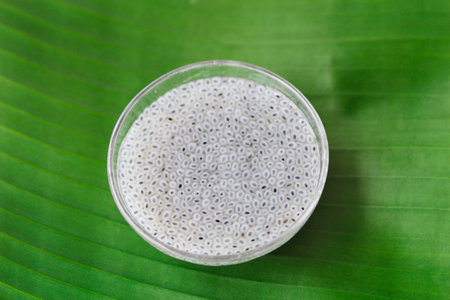 A cup of sweet basil  Good for health の写真素材