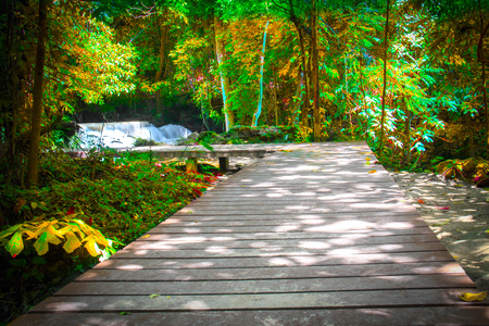boardwalk in the forest -Plitviceの写真素材