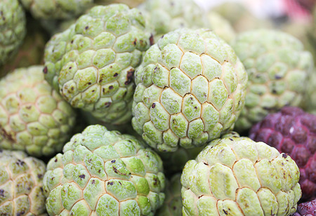The Closeup of custard appleの写真素材