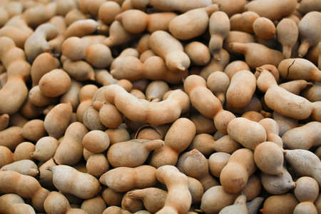 Group of ripe tamarind pods on the wood table.