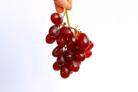 Hand holding grapes