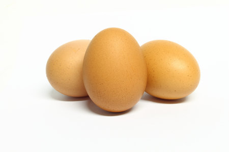 eggs