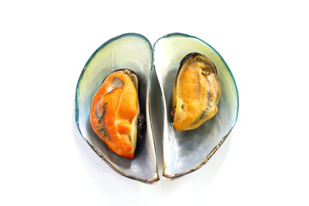 Boiled mussels sea food on a white background