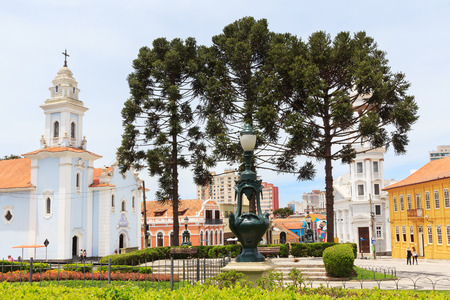 City center of Curitiba: Square Garibaldi, Church Rosario, three trees Araucaria angustifolia (Brazilian pine), state Parana, Brazilの素材 [FY31033654760]