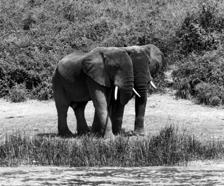 Friendsの写真素材