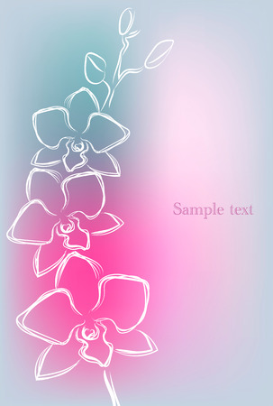 Background with orchid in beautiful gentle colors, vector illustrationのイラスト素材