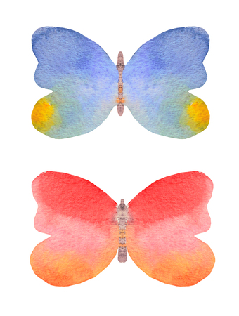 Two beautiful watercolor butterflies on white backgroundの写真素材