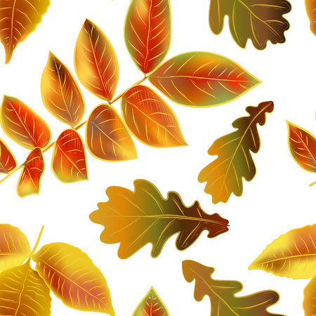 Beautiful bright autumn leaves on white background, vector seamless patternのイラスト素材