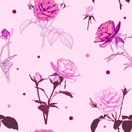 Pink roses pattern.のイラスト素材