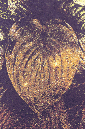 Double Glitter Texture Backgroundの写真素材